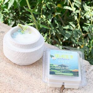 PACK VELA BALI Y MELTS