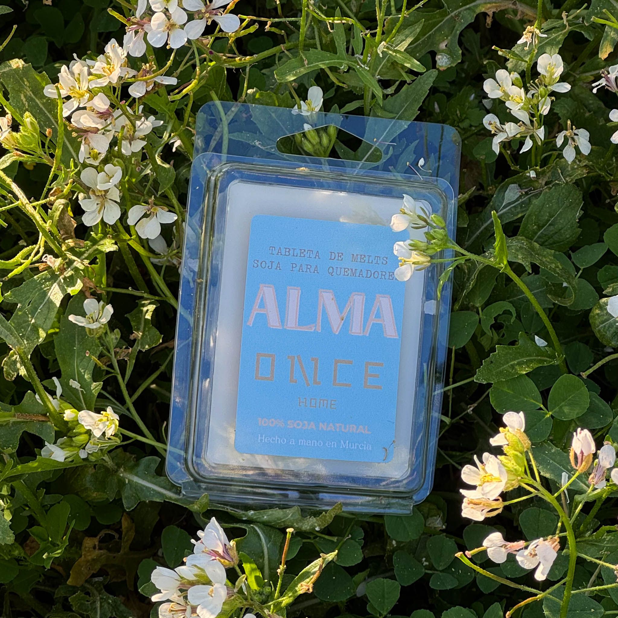melts alma once home flores