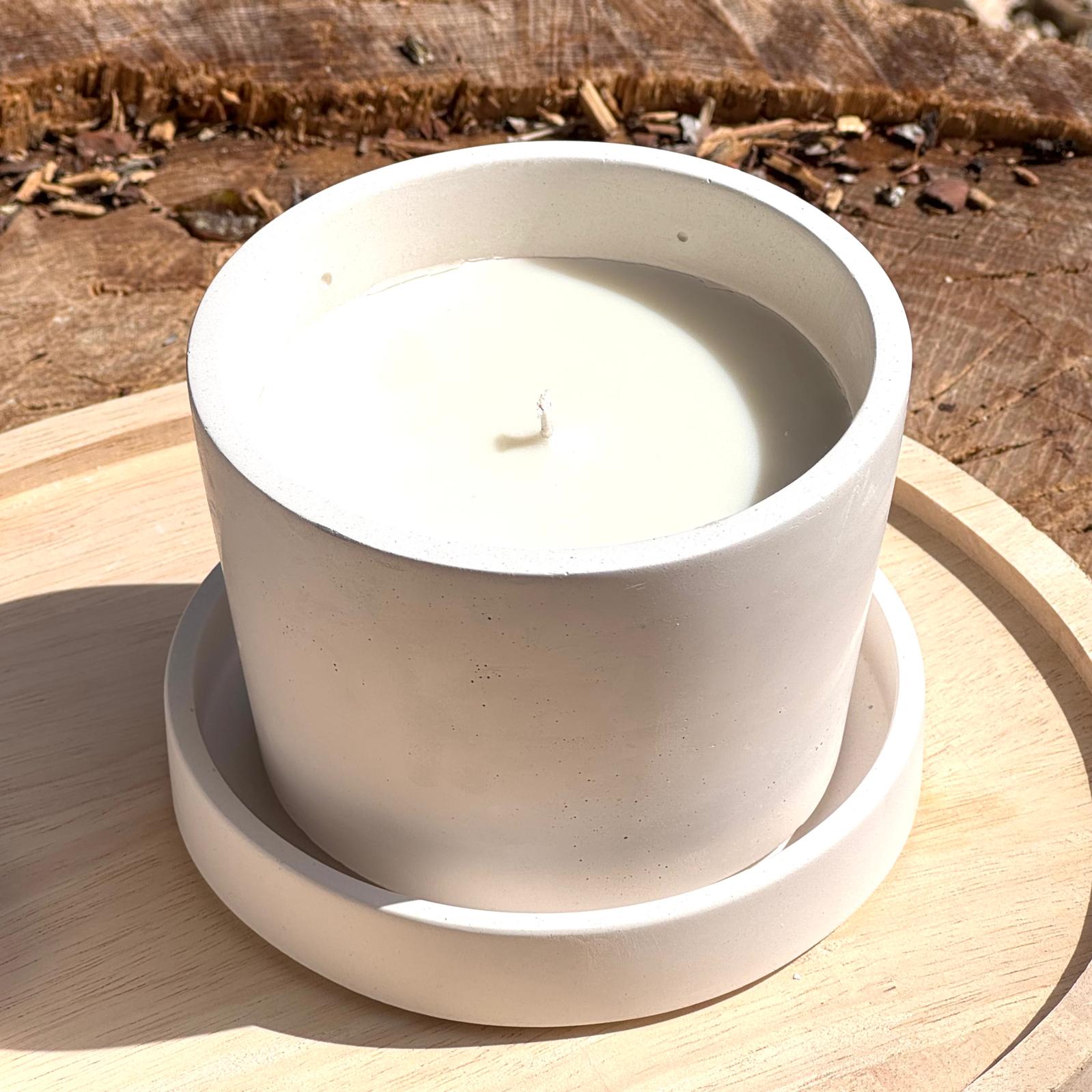 ylang ylang vela once home