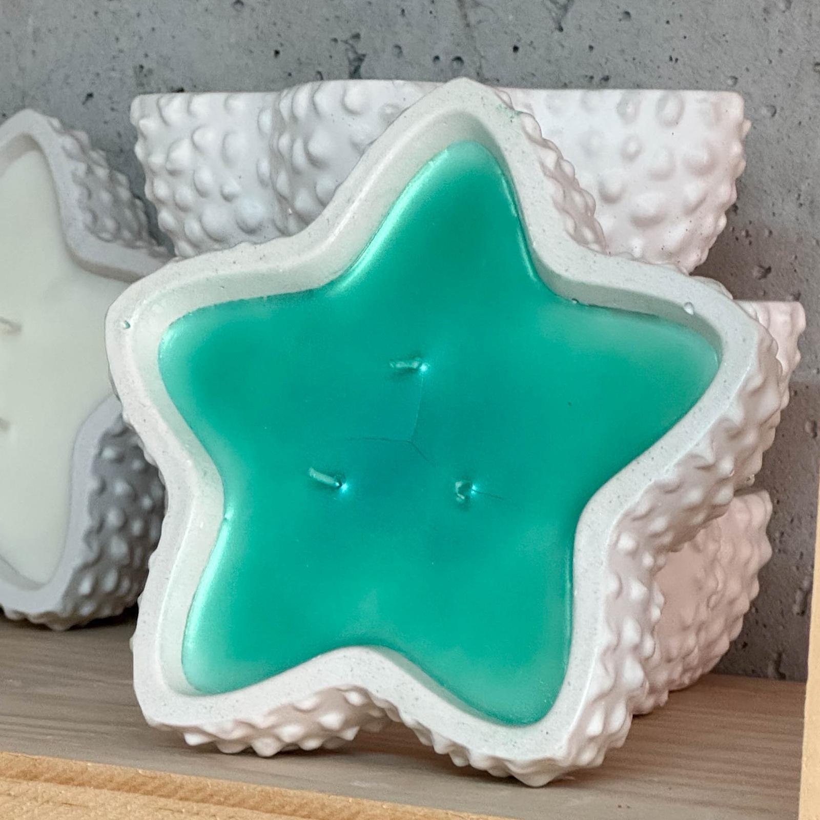 estrella de mar once home