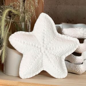 plato estrella de mar once home