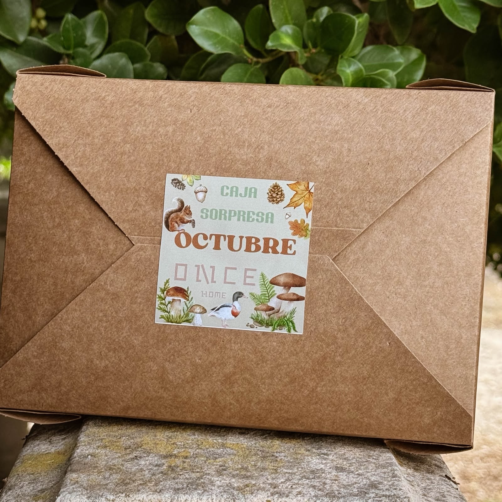 caja sorpresa octubre once home