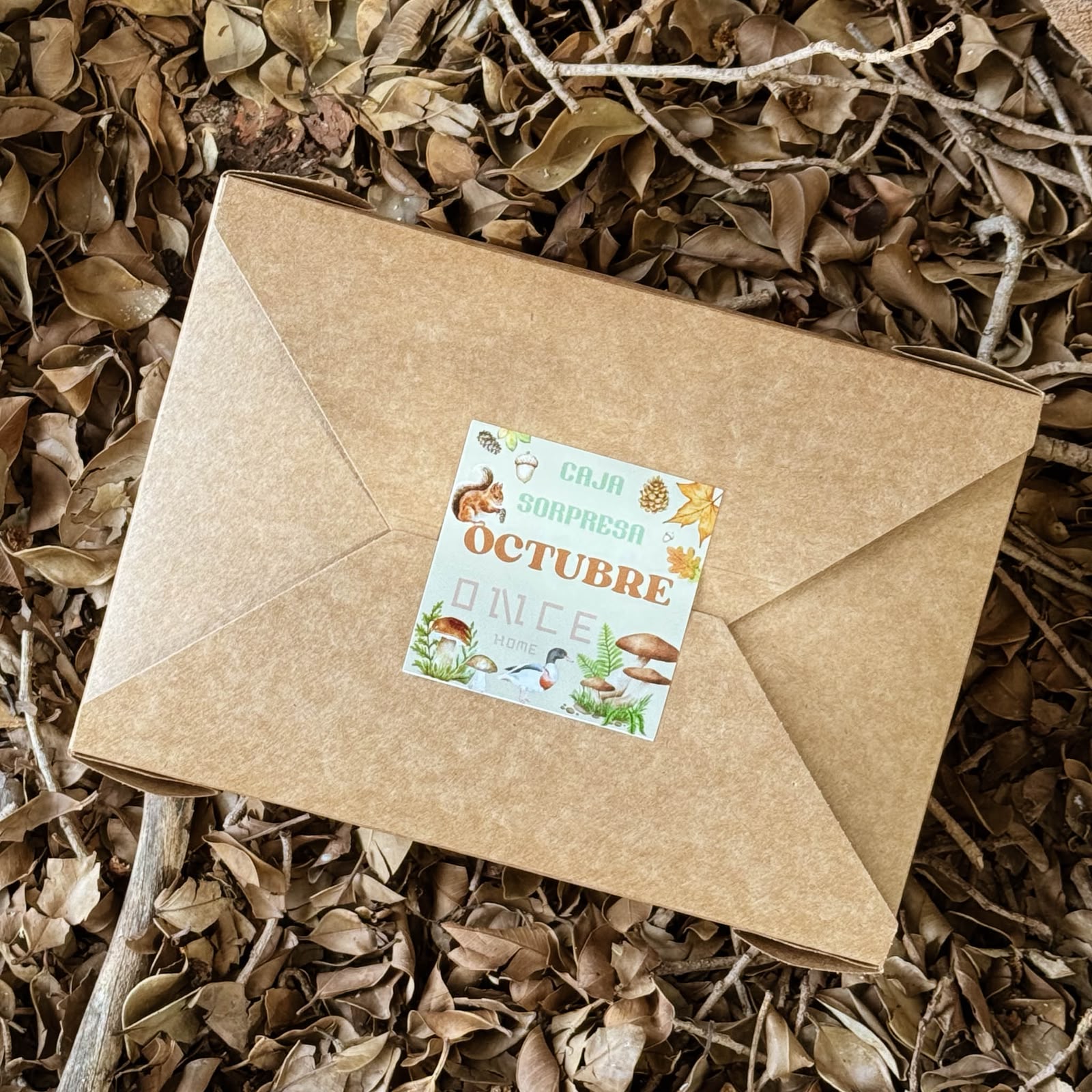 caja sorpresa octubre once home